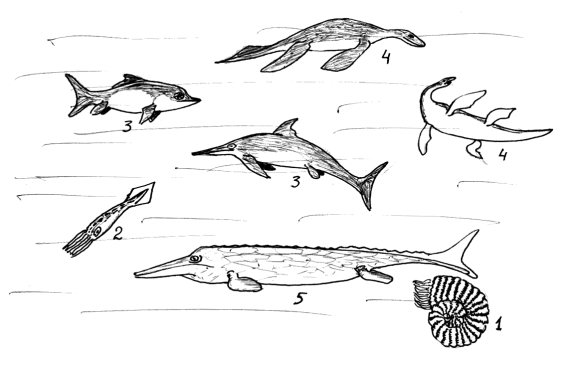 Ихтиозавр схема рисования