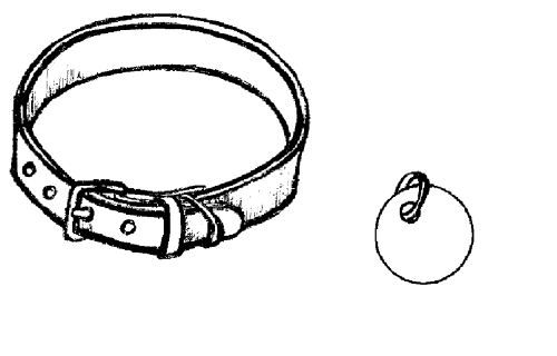 Раскраска ошейник