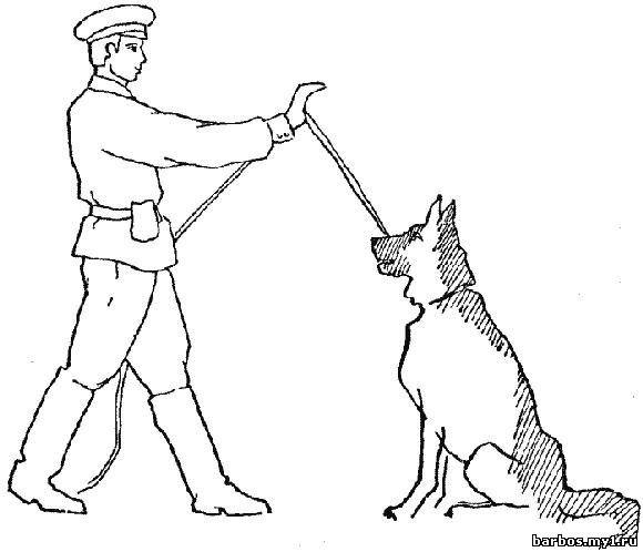 Раскраска Военная собака
