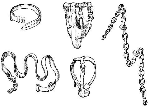 Поводок раскраска