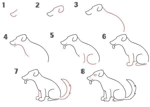 Поэтапное рисование сидячей собаки