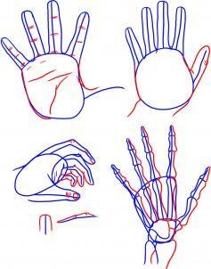 Поэтапное рисование ладонь руки