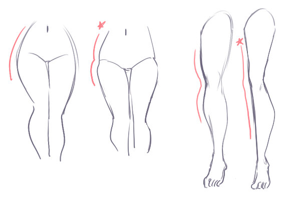 Женские бедра для рисования
