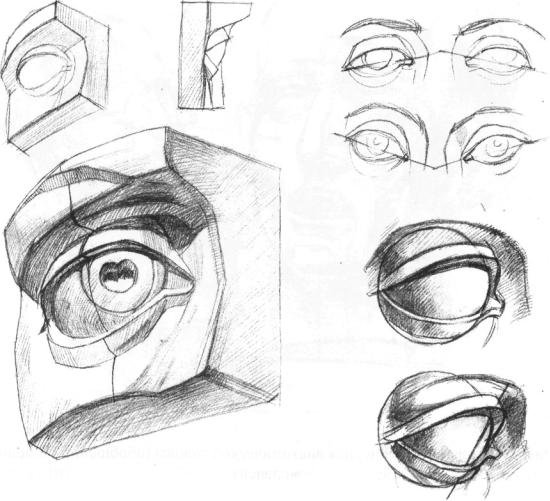 Поэтапное рисование гипсовой головы Давида