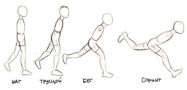 Бег человека схема