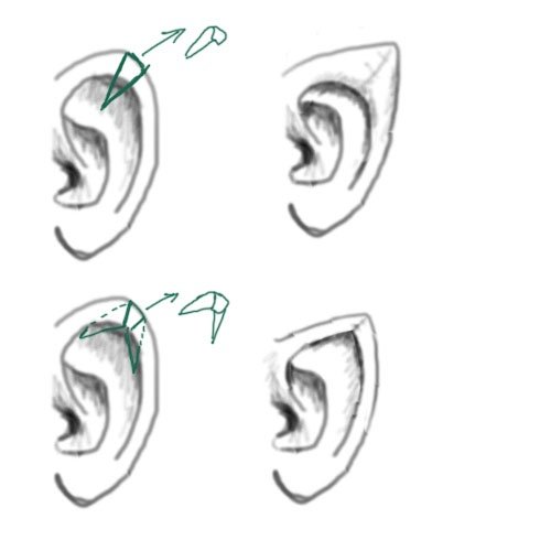 Уши эльфа референс