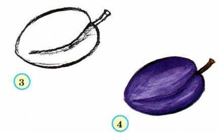 Слива поэтапно