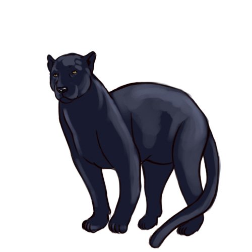 Пантера для рисования