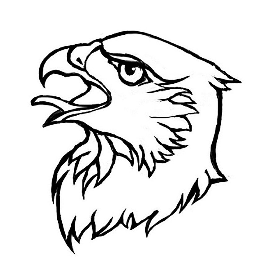 Рисунок карандашом для срисовки орел
