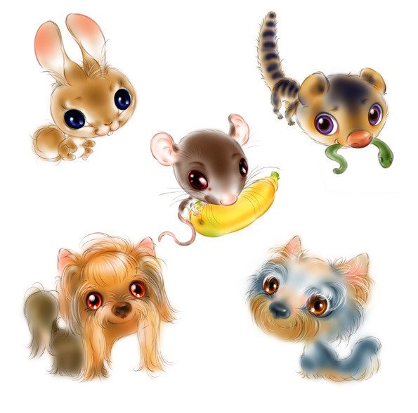 Иллюстратор Мельникович Людмила