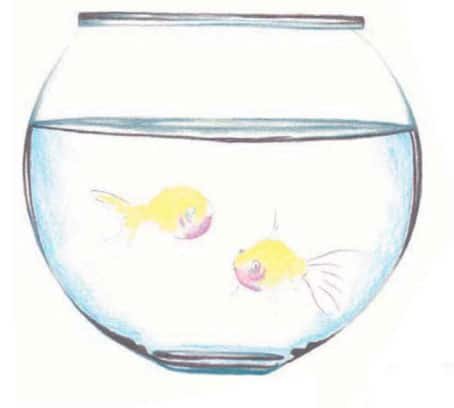 Аквариумные рыбки раскраска