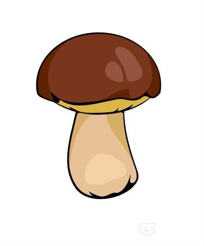 Раздаточный материал грибы