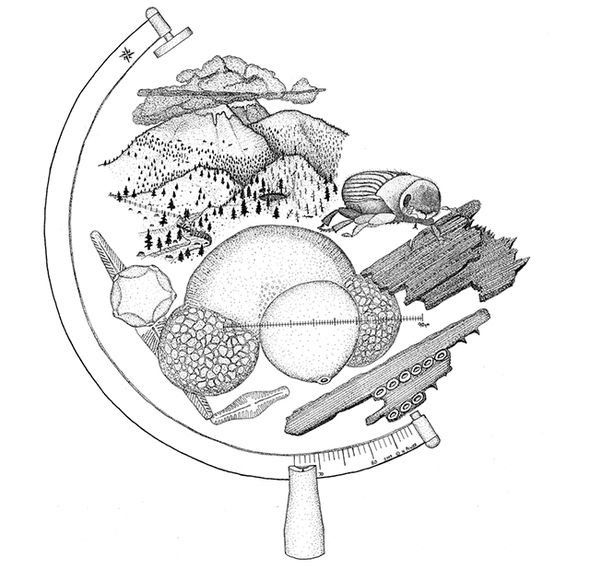 Рисунок на тему география