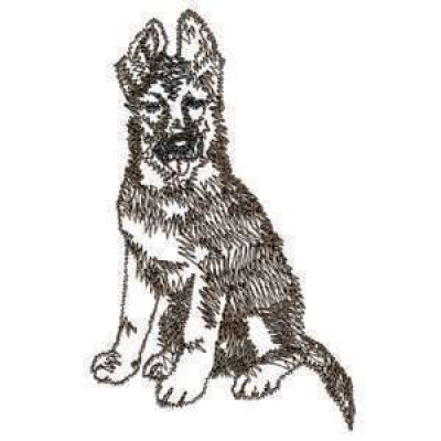 Раскраска немецкая овчарка