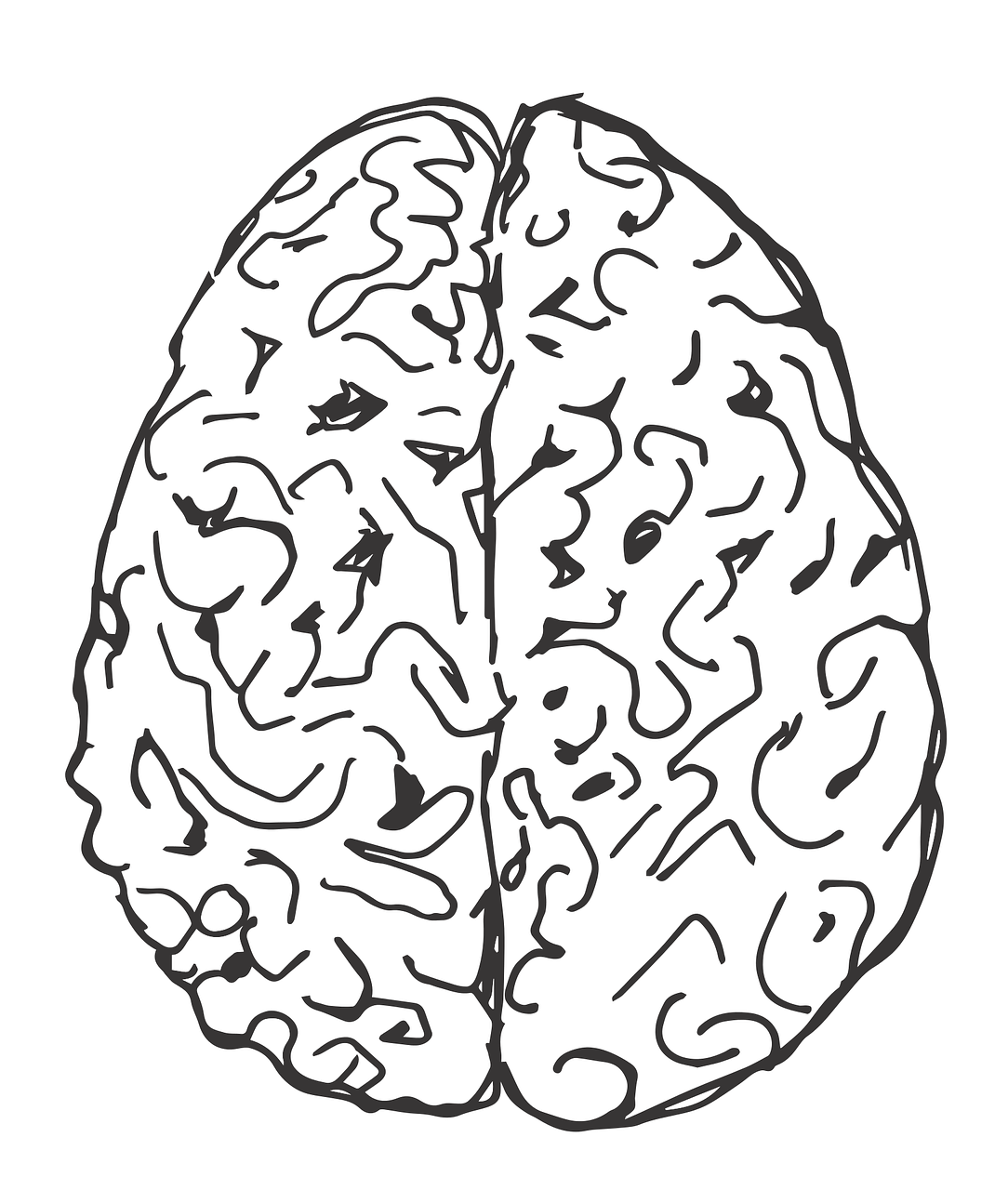 Картинка полушарие мозга. Два полушария головного мозга. Мозг нарисованный. Мозг рисунок.
