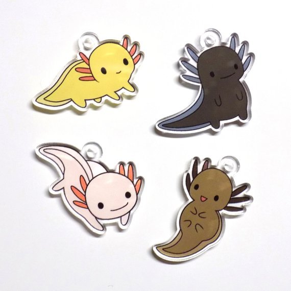 Аксолотль брошь