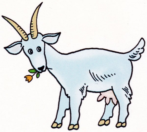 Козленок карандашом