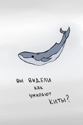 Мусульманские цитаты для девушек