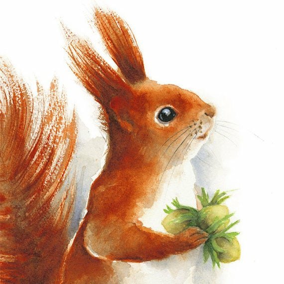 Милые животные акварелью Белочка