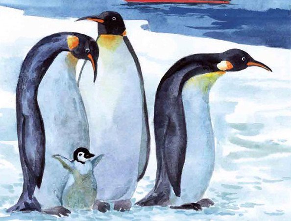 Пингвин рисунок