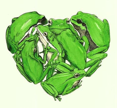 Лягушки рисунок эстетичный