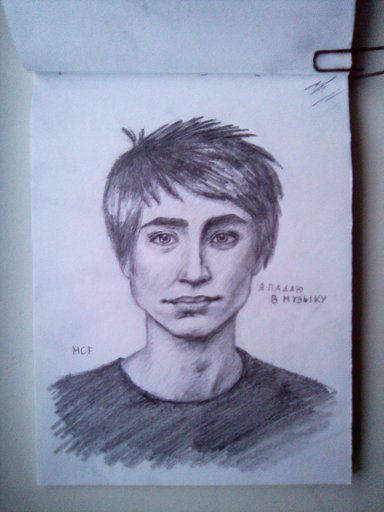 Земфира карикатура