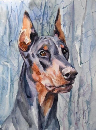 Доберман акварелью