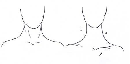 Нарисовать ключицы