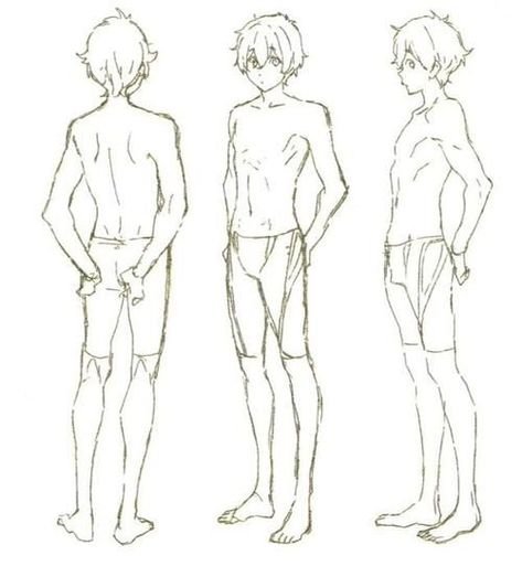 Худое Телосложение референс