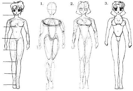 Пропорции для рисования аниме