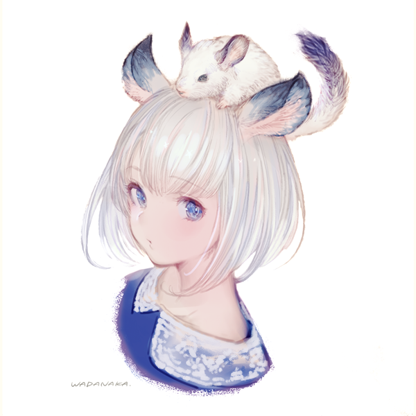 Аниме шиншилла тян