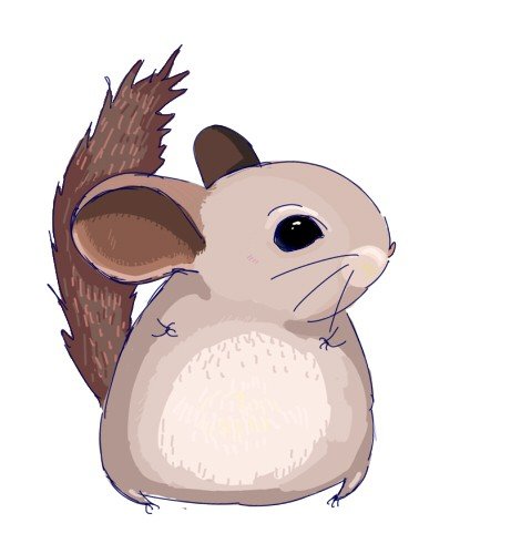 Референсы шиншилл