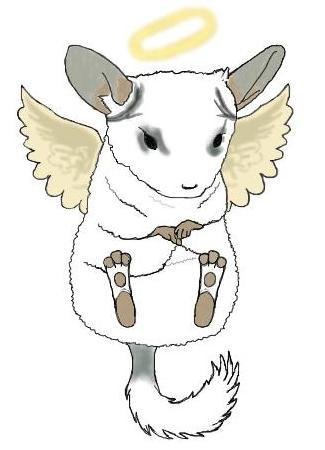 Нарисовать шиншиллу