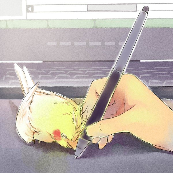 Милый аниме попугай