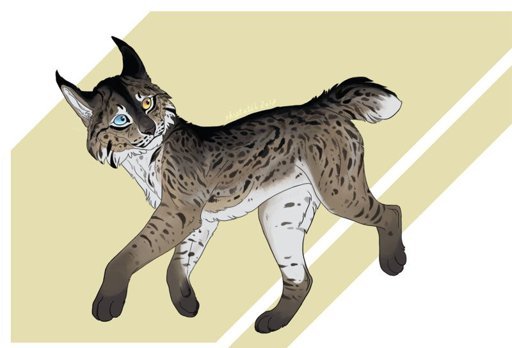 Рысь Воители референс