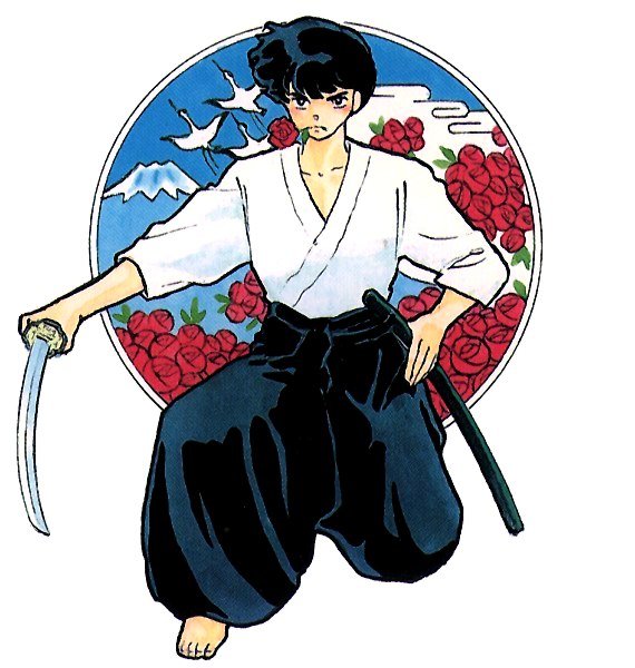 Ranma 1/2 боевые искусства