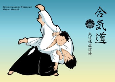 Айкидо картинки смешные
