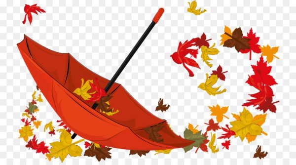 Осенний клипарт на прозрачном фоне