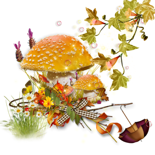 Осенний клипарт