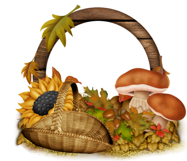 Осенние украшения на прозрачном фоне