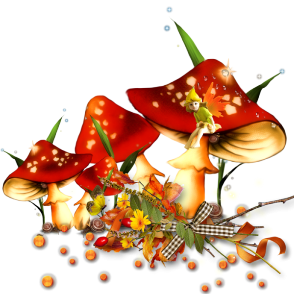 Осенние листья на прозрачном фоне