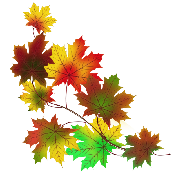 Осенний орнамент