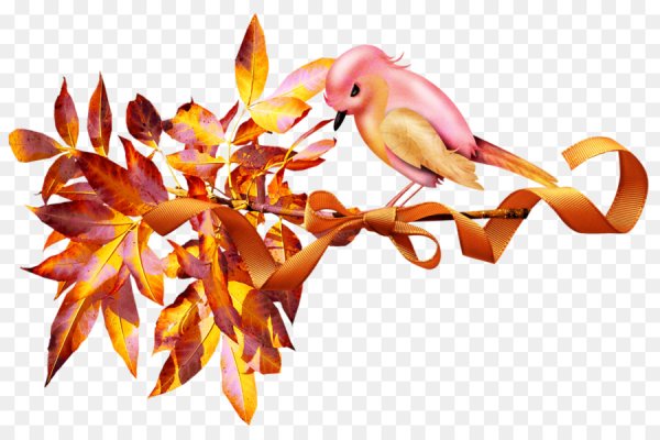 Осенний клипарт