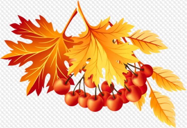 Осенние листья