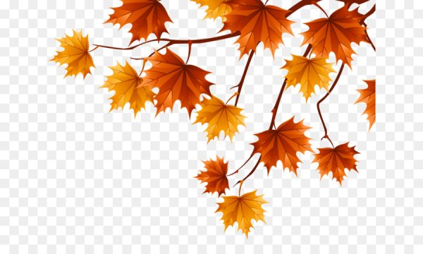 Осенние кластеры