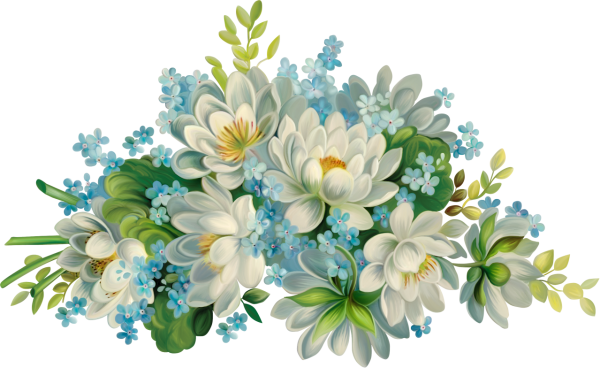 Цветы на прозрачном фоне