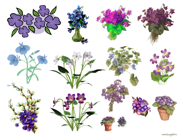 Цветочки на прозрачном фоне