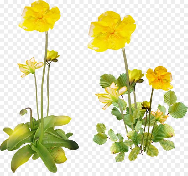 Паттерны lenagold