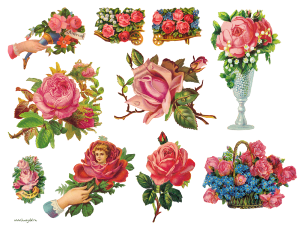 Цветы угловые