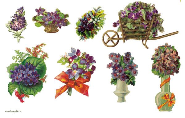 Желтая овальная рамка